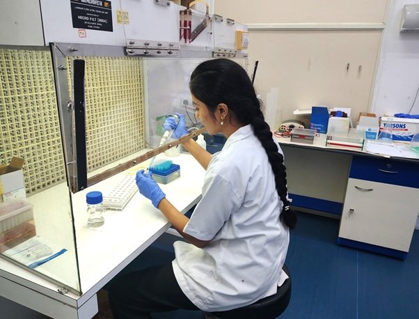 Researcher performing testing under laminar air flow